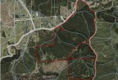 200 hectare (more or less) landholding on 6 separate titles Land Holding In Warkworth, Concept plan for 24 lots lifestyle blocks subdivision plan on the northern part of land (133.9047ha), Approx 70 hectares remains with 15 yrs radius pine & various excellent building sites, 1033-1149 Woodcocks Road, Warkworth, Auckland