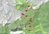 200 hectare (more or less) landholding on 6 separate titles Land Holding In Warkworth, Concept plan for 24 lots lifestyle blocks subdivision plan on the northern part of land (133.9047ha), Approx 70 hectares remains with 15 yrs radius pine & various excellent building sites, 1033-1149 Woodcocks Road, Warkworth, Auckland