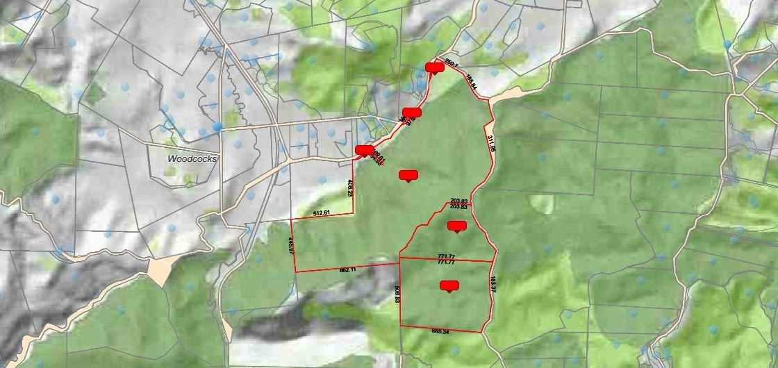 200 hectare (more or less) landholding on 6 separate titles Land Holding In Warkworth, Concept plan for 24 lots lifestyle blocks subdivision plan on the northern part of land (133.9047ha), Approx 70 hectares remains with 15 yrs radius pine & various excellent building sites, 1033-1149 Woodcocks Road, Warkworth, Auckland