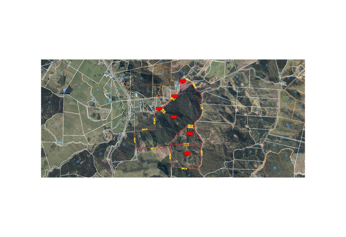 200 hectare (more or less) landholding on 6 separate titles Land Holding In Warkworth, Concept plan for 24 lots lifestyle blocks subdivision plan on the northern part of land (133.9047ha), Approx 70 hectares remains with 15 yrs radius pine & various excellent building sites, 1033-1149 Woodcocks Road, Warkworth, Auckland