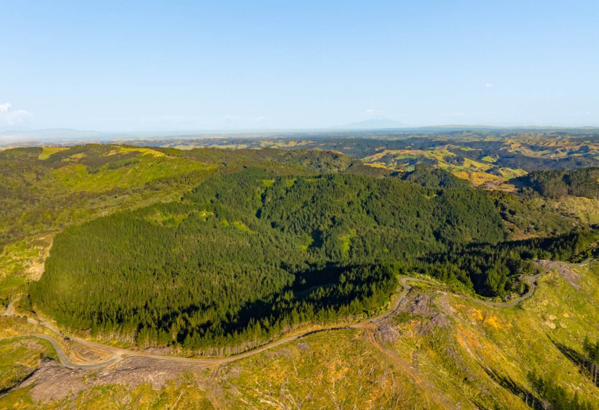 200 hectare (more or less) landholding on 6 separate titles Land Holding In Warkworth, Concept plan for 24 lots lifestyle blocks subdivision plan on the northern part of land (133.9047ha), Approx 70 hectares remains with 15 yrs radius pine & various excellent building sites, 1033-1149 Woodcocks Road, Warkworth, Auckland