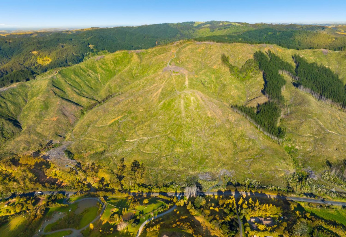 200 hectare (more or less) landholding on 6 separate titles Land Holding In Warkworth, Concept plan for 24 lots lifestyle blocks subdivision plan on the northern part of land (133.9047ha), Approx 70 hectares remains with 15 yrs radius pine & various excellent building sites, 1033-1149 Woodcocks Road, Warkworth, Auckland
