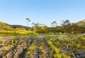 200 hectare (more or less) landholding on 6 separate titles Land Holding In Warkworth, Concept plan for 24 lots lifestyle blocks subdivision plan on the northern part of land (133.9047ha), Approx 70 hectares remains with 15 yrs radius pine & various excellent building sites, 1033-1149 Woodcocks Road, Warkworth, Auckland