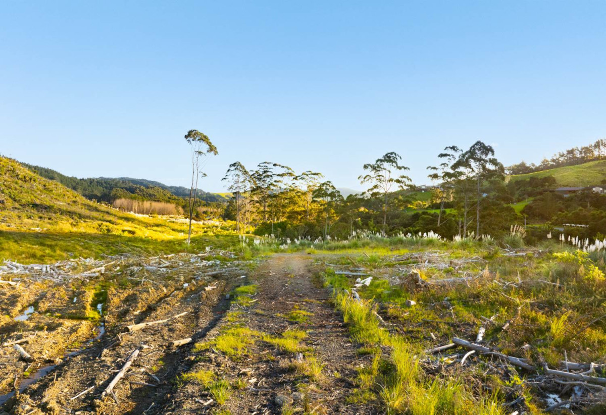 200 hectare (more or less) landholding on 6 separate titles Land Holding In Warkworth, Concept plan for 24 lots lifestyle blocks subdivision plan on the northern part of land (133.9047ha), Approx 70 hectares remains with 15 yrs radius pine & various excellent building sites, 1033-1149 Woodcocks Road, Warkworth, Auckland