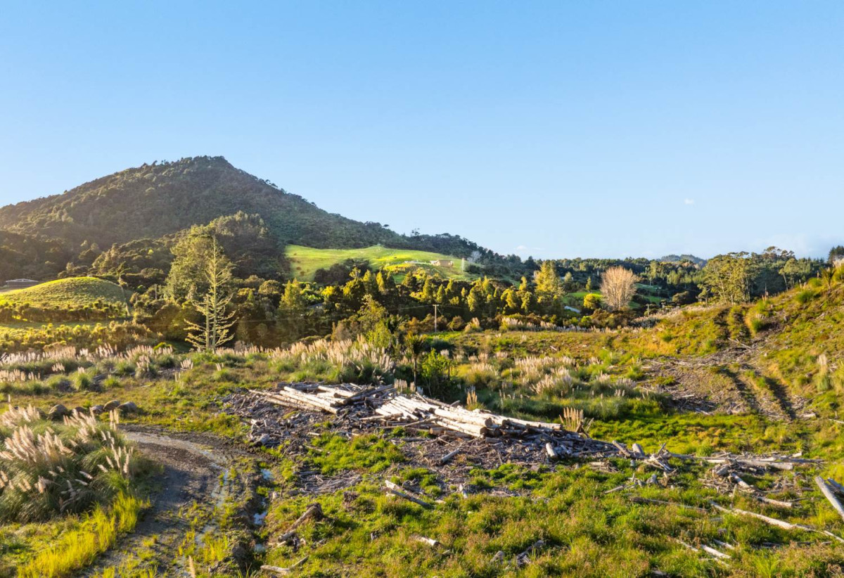 200 hectare (more or less) landholding on 6 separate titles Land Holding In Warkworth, Concept plan for 24 lots lifestyle blocks subdivision plan on the northern part of land (133.9047ha), Approx 70 hectares remains with 15 yrs radius pine & various excellent building sites, 1033-1149 Woodcocks Road, Warkworth, Auckland