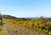 200 hectare (more or less) landholding on 6 separate titles Land Holding In Warkworth, Concept plan for 24 lots lifestyle blocks subdivision plan on the northern part of land (133.9047ha), Approx 70 hectares remains with 15 yrs radius pine & various excellent building sites, 1033-1149 Woodcocks Road, Warkworth, Auckland