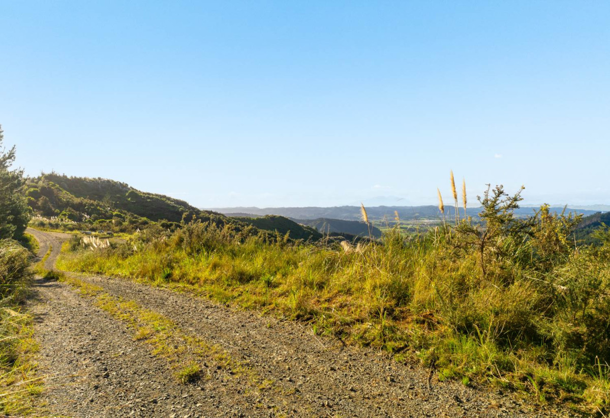 200 hectare (more or less) landholding on 6 separate titles Land Holding In Warkworth, Concept plan for 24 lots lifestyle blocks subdivision plan on the northern part of land (133.9047ha), Approx 70 hectares remains with 15 yrs radius pine & various excellent building sites, 1033-1149 Woodcocks Road, Warkworth, Auckland