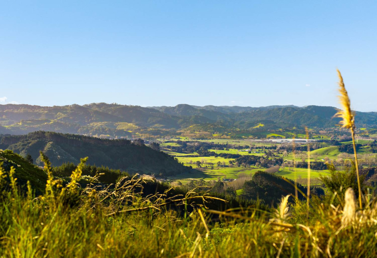 200 hectare (more or less) landholding on 6 separate titles Land Holding In Warkworth, Concept plan for 24 lots lifestyle blocks subdivision plan on the northern part of land (133.9047ha), Approx 70 hectares remains with 15 yrs radius pine & various excellent building sites, 1033-1149 Woodcocks Road, Warkworth, Auckland