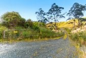 200 hectare (more or less) landholding on 6 separate titles Land Holding In Warkworth, Concept plan for 24 lots lifestyle blocks subdivision plan on the northern part of land (133.9047ha), Approx 70 hectares remains with 15 yrs radius pine & various excellent building sites, 1033-1149 Woodcocks Road, Warkworth, Auckland
