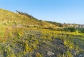 200 hectare (more or less) landholding on 6 separate titles Land Holding In Warkworth, Concept plan for 24 lots lifestyle blocks subdivision plan on the northern part of land (133.9047ha), Approx 70 hectares remains with 15 yrs radius pine & various excellent building sites, 1033-1149 Woodcocks Road, Warkworth, Auckland