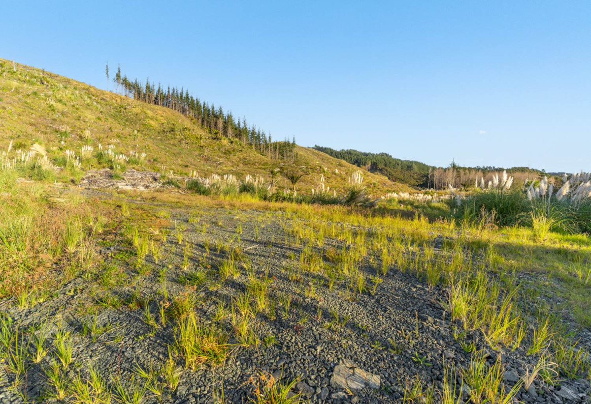 200 hectare (more or less) landholding on 6 separate titles Land Holding In Warkworth, Concept plan for 24 lots lifestyle blocks subdivision plan on the northern part of land (133.9047ha), Approx 70 hectares remains with 15 yrs radius pine & various excellent building sites, 1033-1149 Woodcocks Road, Warkworth, Auckland