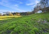 This spectacular north-facing, sunny 2.0552-hectare Lifestyle Section – Your Dream Home Await, 65 Haigh Access Road, Dairy Flat, Auckland