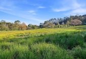 This spectacular north-facing, sunny 20552m2 Private Country Section – Your Dream Home Awaits, 65 Haigh Access Road, Dairy Flat, Auckland