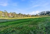 This spectacular north-facing, sunny 2.0552-hectare Lifestyle Section – Your Dream Home Await, 65 Haigh Access Road, Dairy Flat, Auckland