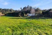 This spectacular north-facing, sunny 20552m2 Private Country Section – Your Dream Home Awaits, 65 Haigh Access Road, Dairy Flat, Auckland