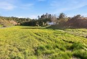 This spectacular north-facing, sunny 20552m2 Private Country Section – Your Dream Home Awaits, 65 Haigh Access Road, Dairy Flat, Auckland