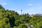Double Westlake school Zone & Sky Tower Views, 351m2 section, Renovated 3 beds 1 bath house with carport, 2 Flexi rooms downstairs, 7C Nicholson Place, Hillcrest, Auckland