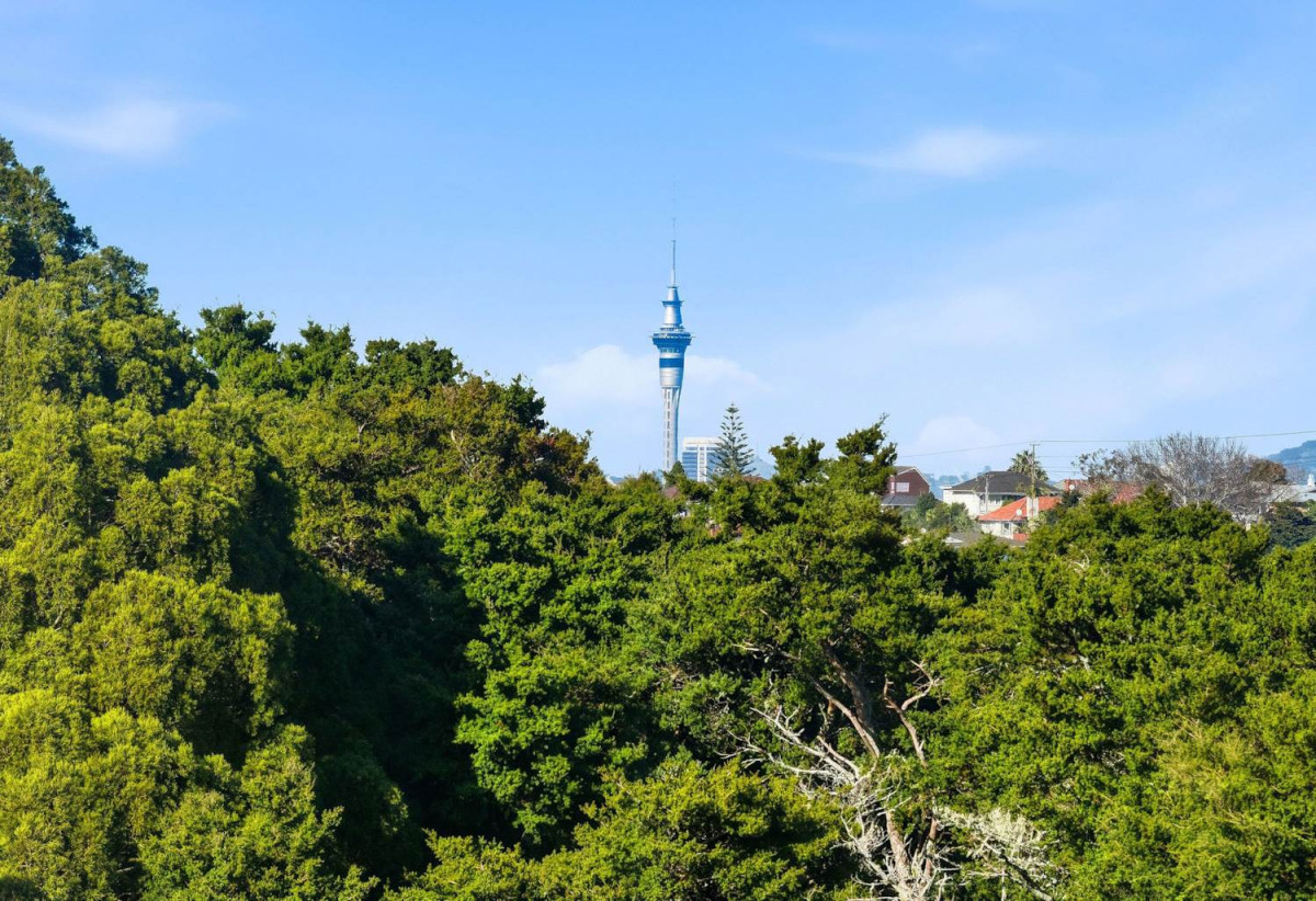 Double Westlake school Zone & Sky Tower Views, 351m2 section, Renovated 3 beds 1 bath house with carport, 2 Flexi rooms downstairs, 7C Nicholson Place, Hillcrest, Auckland