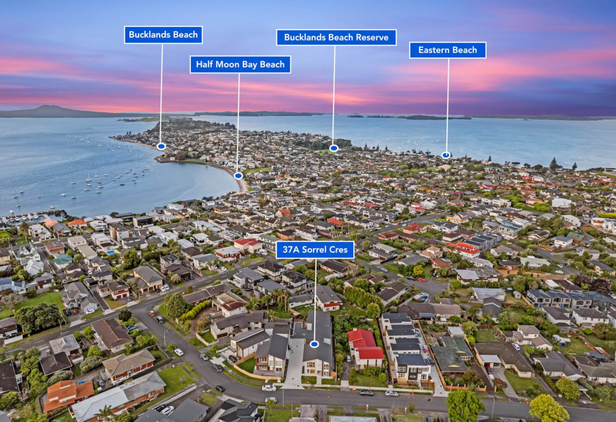 Walks to Macleans College and BBI, Brandnew standalone 4 beds 3 baths home with double garage, 37A Sorrel Crescent, Bucklands Beach, Auckland