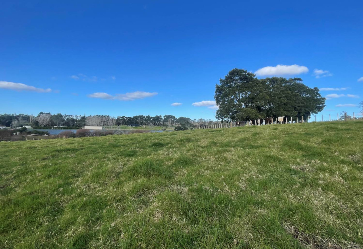 10060m2 Lifestyle land, Views/Flexible Settlement Terms, Lot 8/339 Amreins Road, Taupaki, Auckland