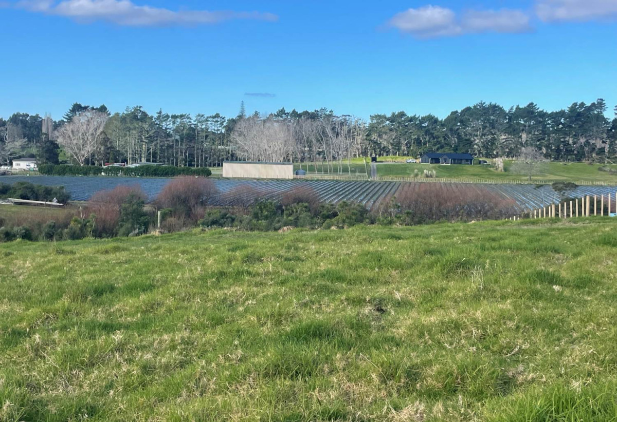 10060m2 Lifestyle land, Views/Flexible Settlement Terms, Lot 8/339 Amreins Road, Taupaki, Auckland