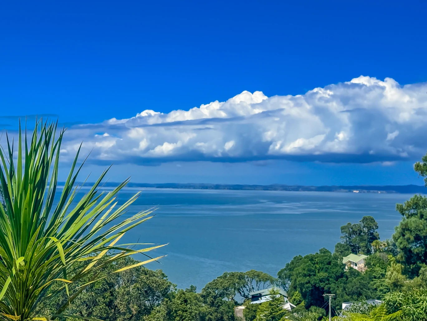 Urgent sale, Rare & Large Dual-Title Seaview Sections, total 1568m2 section (47 Gilletta Road , 809m2, 49 Gilletta Road, 759m2), Enquiry over $1.3 million for 2 sections. Lapsed 5-mansion resource consent proves incredible multi-unit development potential. Direct, seamless backyard access to Lynfield Cove Reserve, playground, and beach. 49 Gilletta Road Mount Roskill, Auckland