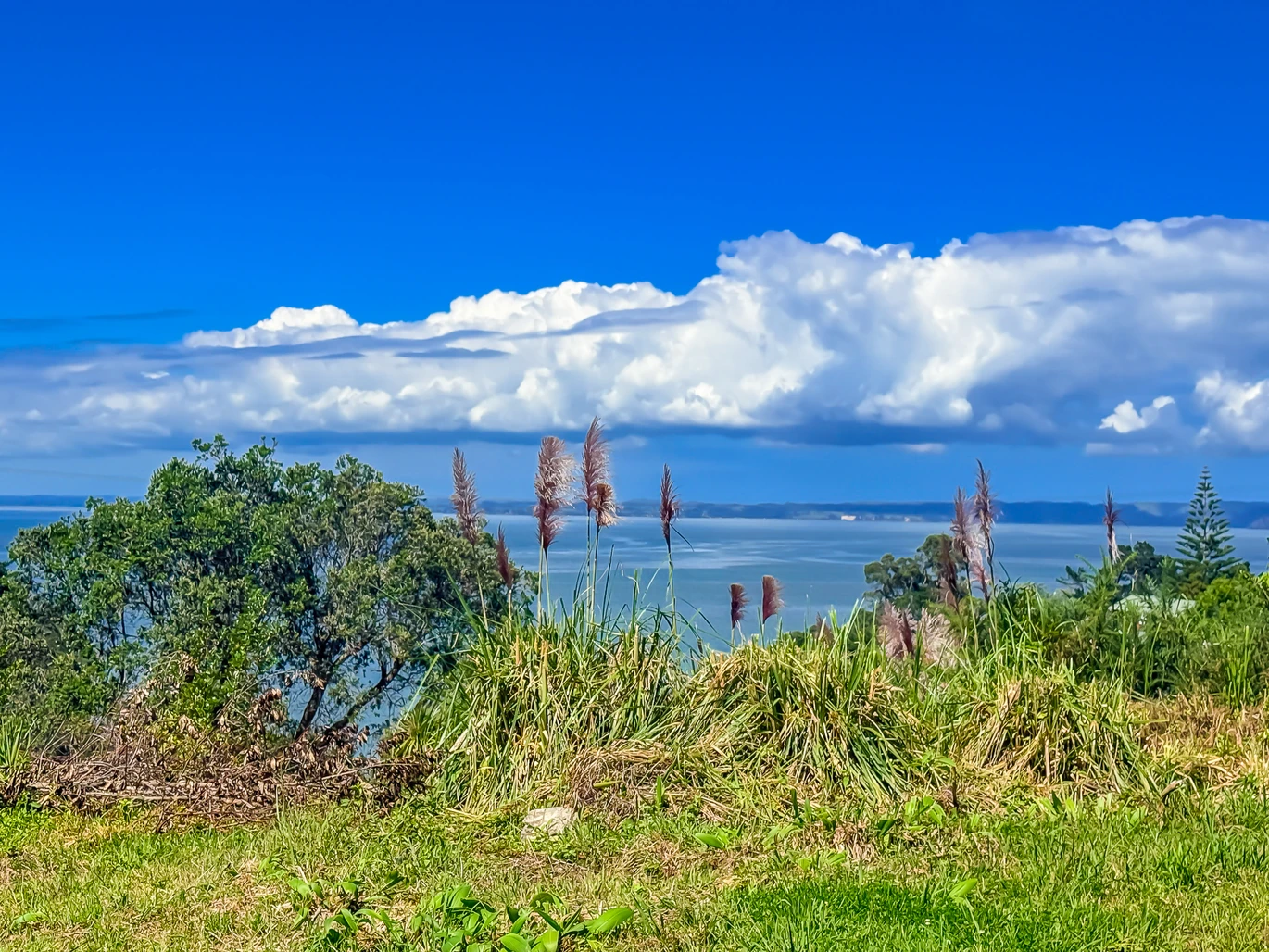 Urgent sale, Rare & Large Dual-Title Seaview Sections, total 1568m2 section (47 Gilletta Road , 809m2, 49 Gilletta Road, 759m2), Enquiry over $1.3 million for 2 sections. Lapsed 5-mansion resource consent proves incredible multi-unit development potential. Direct, seamless backyard access to Lynfield Cove Reserve, playground, and beach. 49 Gilletta Road Mount Roskill, Auckland