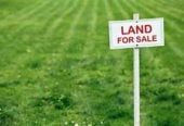 2 Duplex sections for sale together, total 185m2, Titles are issued and Building Consents are fully approved,, Separate titles with individual water meters already installed. 30 & 32 Kaapehu Street, Karaka, Auckland