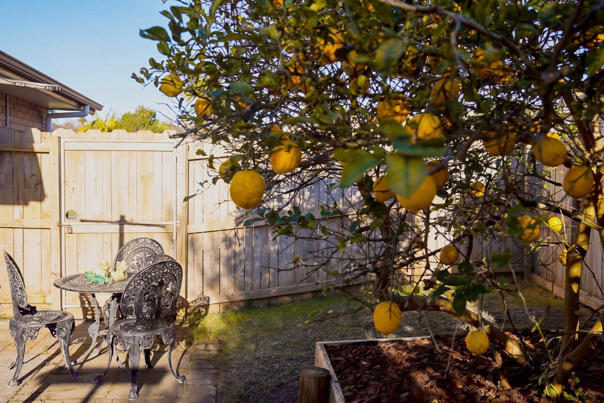 Deceased Estate For Sale After 21 Years, 580m2 section, Brick and tile 4 beds 2 baths house with double garage, 7 Fairford Avenue, Henderson, Auckland