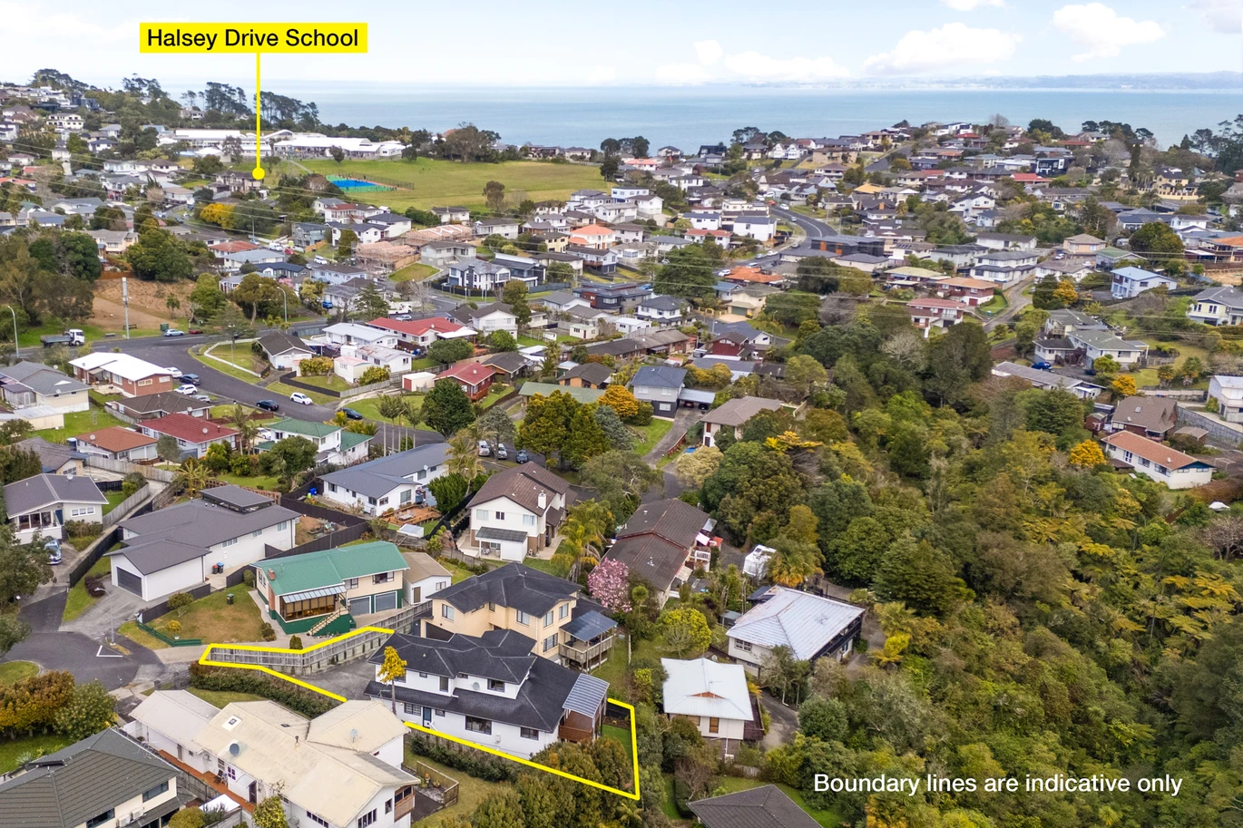 493m2 section, 259m2 5 beds 4 baths house with double garage, 5A Rangitane Place Lynfield, Auckland