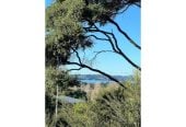 Prime Location, 81m2 Brandnew 2 beds 1 bath home with car park, a large balcony, and a backyard deck, 293 Kuaha Road, Westgate, Auckland