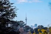 6824m2 Lifestyle section, 3 beds 1 bath house with 4 garage, 116 Chamberlain Road, Massey, Auckland